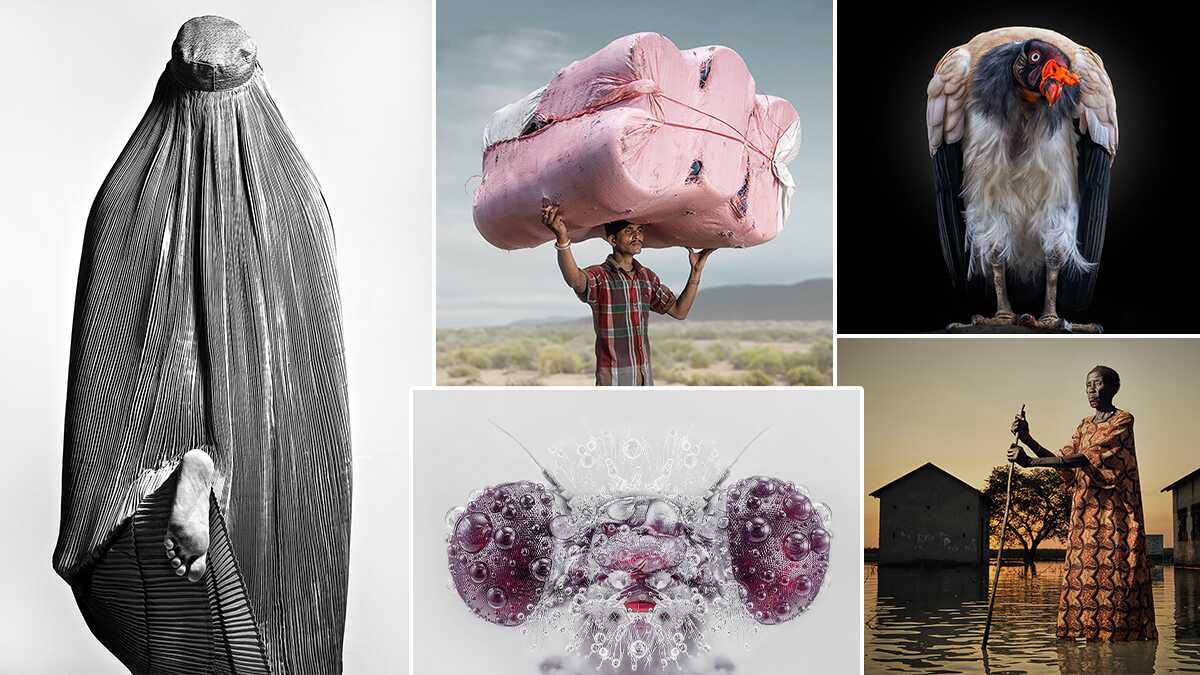 The Stunning Winning Images of All About Photo Awards 2021 header