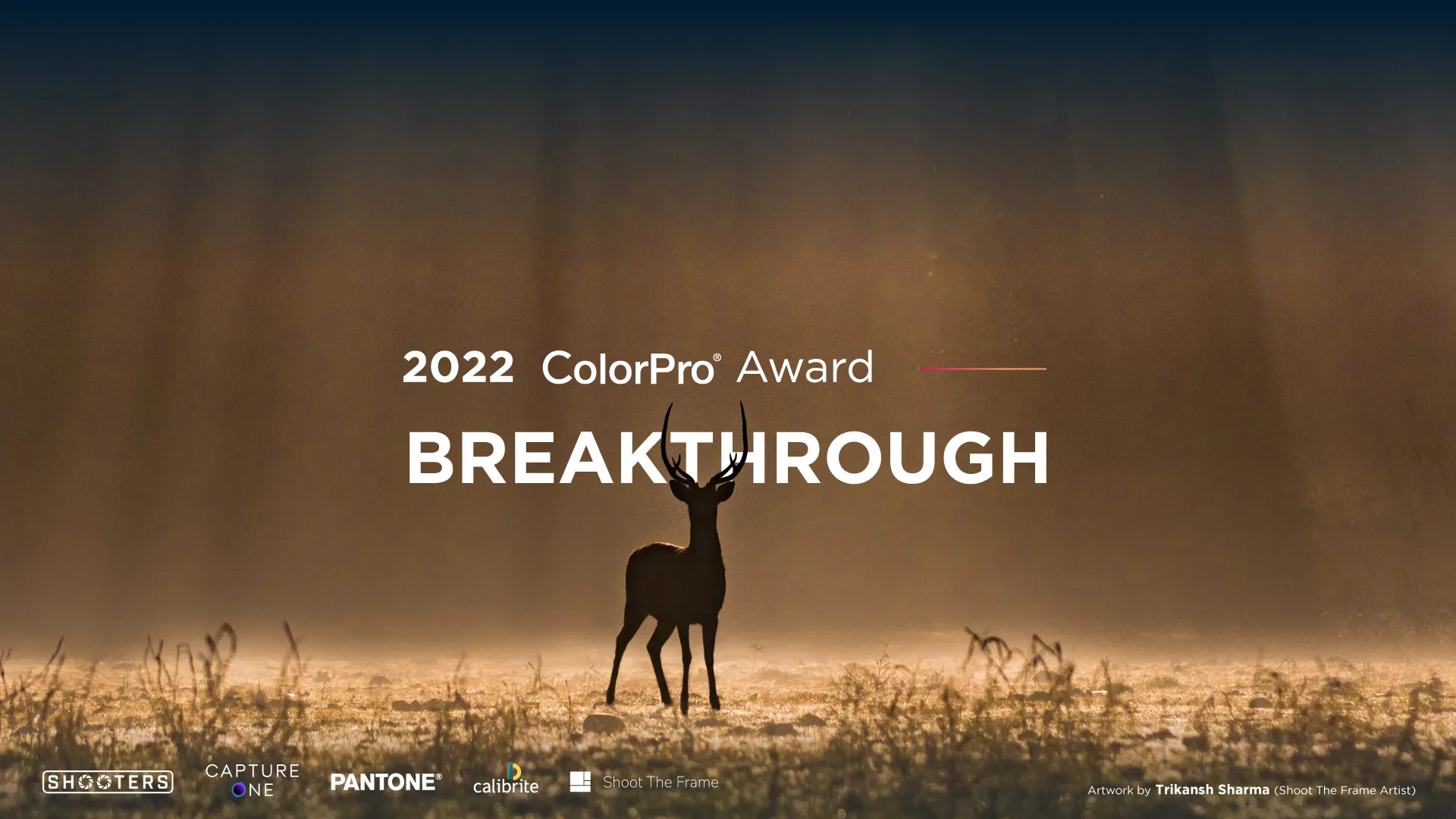 1660561898 ColorPro Award 2022