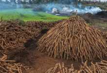 Döşemealtı fotoğraf yarışması sonuçlandı 31 dosemealti header