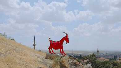 Yüzey Yığını ya da Maden Dağı - Furkan Temir Sergisi 11 img 4492 1