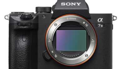 1519730570 SONY 7 III 1