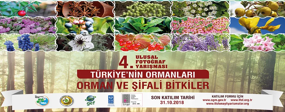 2018 080 OGM banner v2 jpg