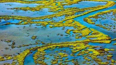 ali kabas in 8 kisisel fotograf sergisi fmv 11222655 8944 o