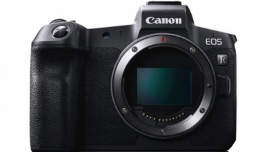 canoneosr