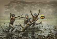 1536464421acf120c77afcabf