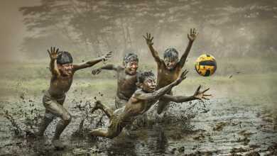 1536464421acf120c77afcabf