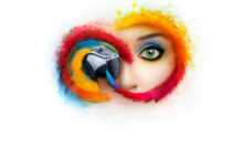 Adobe Creative Cloud 2019