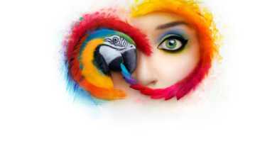 Adobe’un Yeni Güncellemesi 4 Adobe Creative Cloud 2019