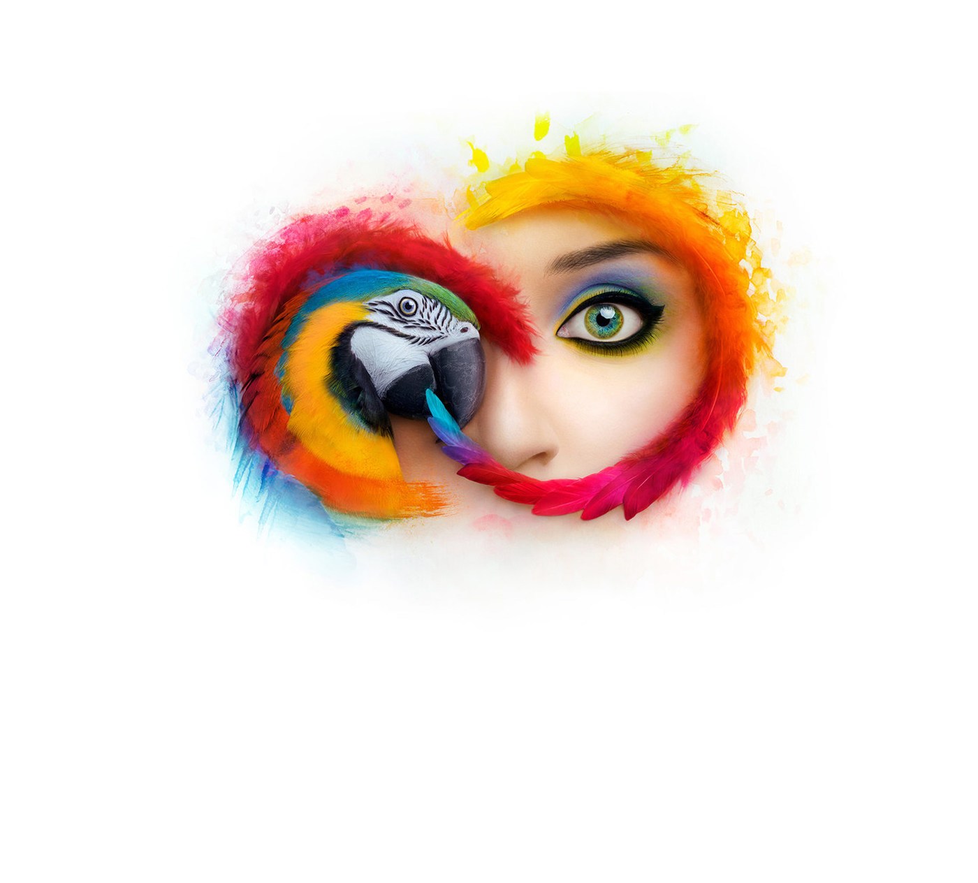 Adobe’un Yeni Güncellemesi 1 Adobe Creative Cloud 2019