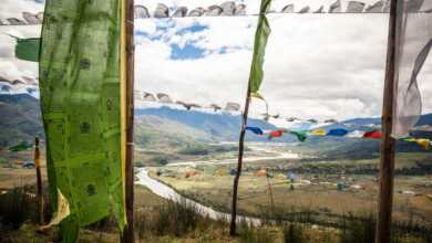 Brahmapoutre F Vogel 7 1350x900