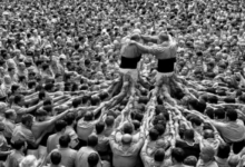 Moskova Uluslararası Fotoğraf Ödülleri 2019 26 Moscow Foto Awards