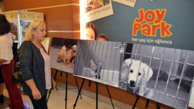 c1807c40 440d 4f11 8ecf aaec29ecd092