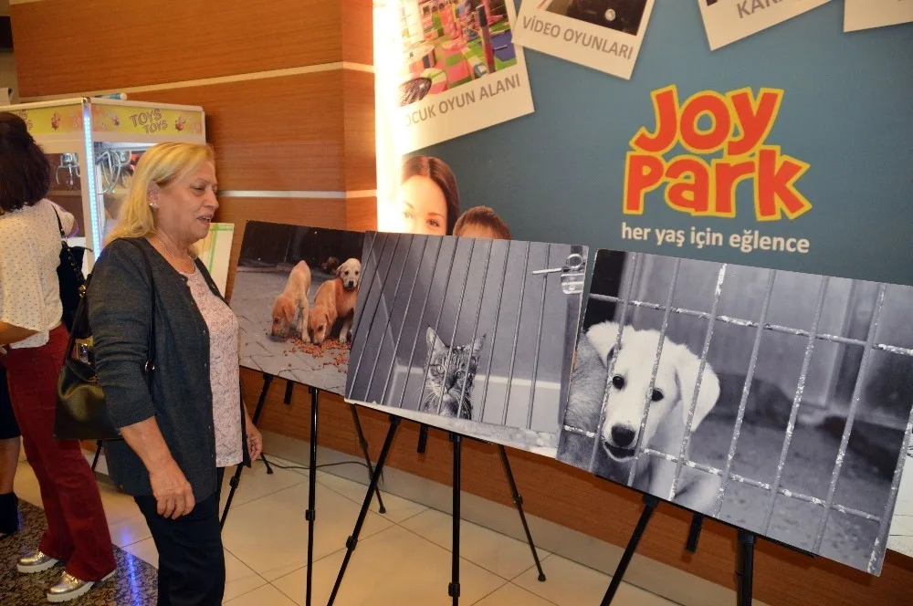 "Beni terk etme" sergisi açıldı 1 c1807c40 440d 4f11 8ecf aaec29ecd092 jpg