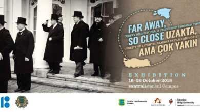 estonia sergi banner 1