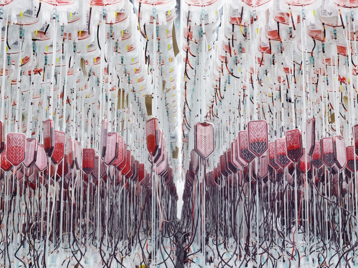 Wellcome Photography Prize 2019 1 greg white donated human blood 2