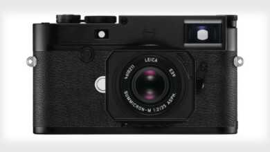 leicam10dfeat 800x420