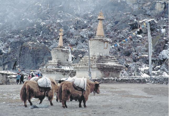 Nasuh Mahruki, Hayatınız En Büyük Maceranız Fotoğraf Sergisi 1 nasuhsergi1