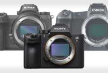 Sony Dinamik Aralık'ta Canon EOS R ve Nikon Z7'yi geçti 4 sonydynamicrangenikoncanonfeat 800x420