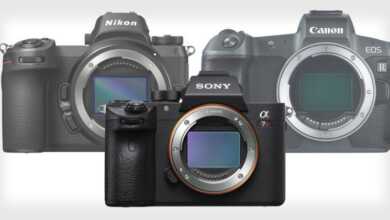 Sony Dinamik Aralık'ta Canon EOS R ve Nikon Z7'yi geçti 9 sonydynamicrangenikoncanonfeat 800x420
