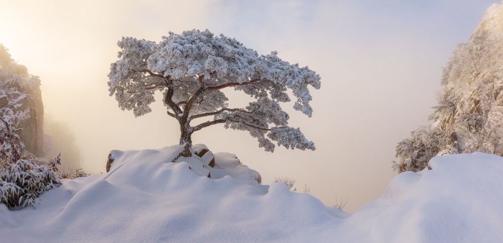 EPSON Uluslararası Pano Fotoğraf Yarışması 2018 8 1036150489