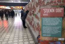 5bfa839466a97c0335faebcd