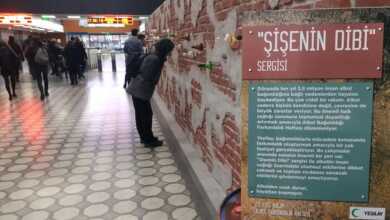 5bfa839466a97c0335faebcd