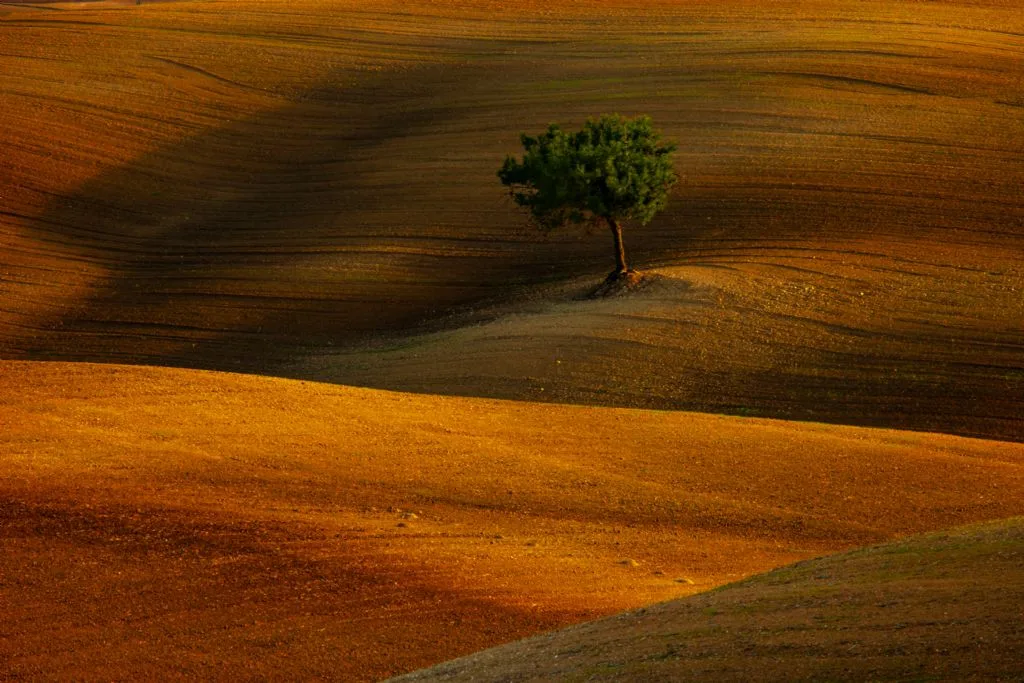 6278 384 tfsf uFfFB jpg