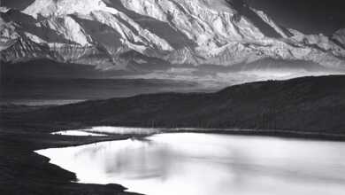 ZONE SİSTEM 14 78152006 p