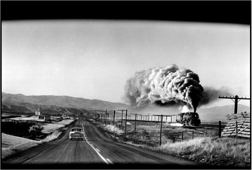 Elliot Erwitt Portfolyosu: Bir Muzip Adam 5 ABD 1954 2