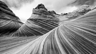 AnselAdamsPhotography11