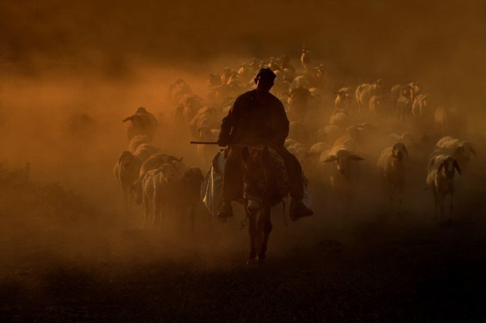 TFSF Kupası Ulusal Fotoğraf Yarışması 2018 35 Mustafa SAHBAZ