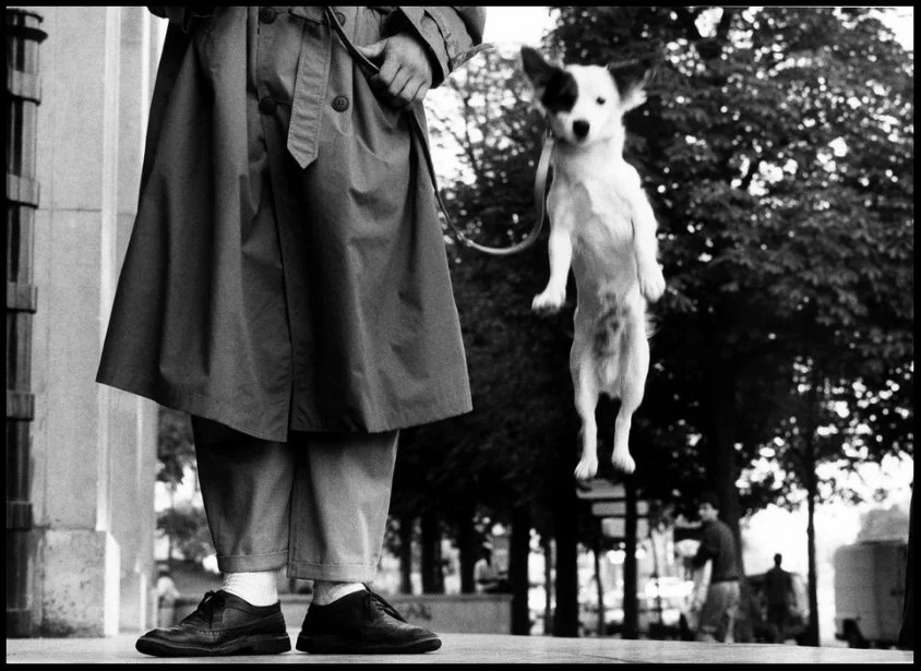 Elliot Erwitt Portfolyosu: Bir Muzip Adam 21 Paris 1989