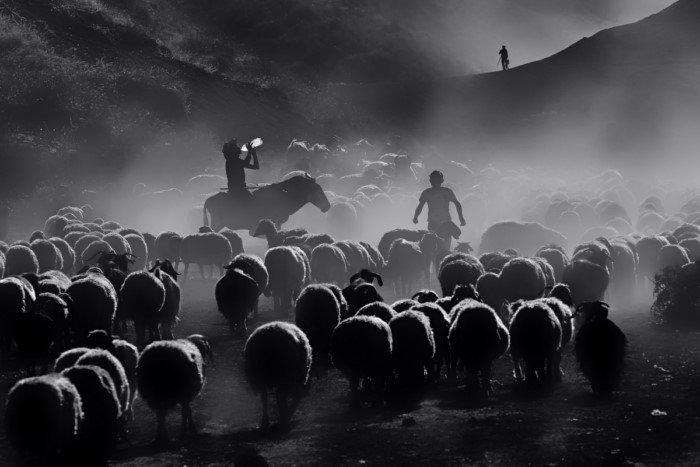 TFSF Kupası Ulusal Fotoğraf Yarışması 2018 20 Ramiz AKAR