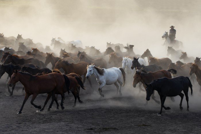 TFSF Kupası Ulusal Fotoğraf Yarışması 2018 31 Sema DEMIRKOL