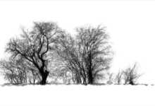 Bekir Kıraç "Simya" Fotoğraf Sergi 25 SpotResim.ashx