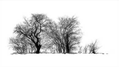 Bekir Kıraç "Simya" Fotoğraf Sergi 7 SpotResim.ashx