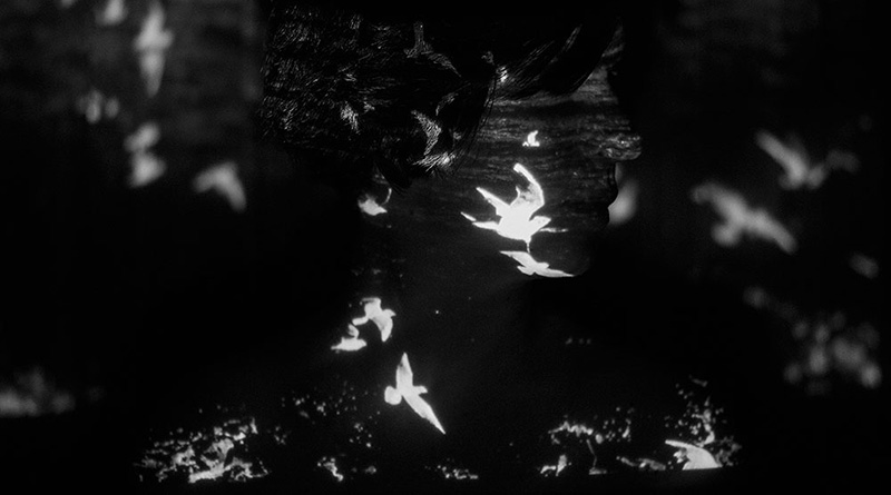 Aslı Narin: "Carpe Noctem" 1 carpe noctem