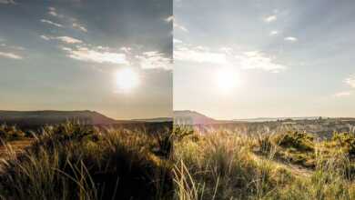 dinamik aralik nedir kapak