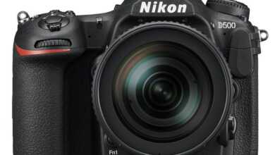 nikon d500 11 2 696x522