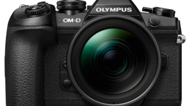 olympus e m1 mark ll 99 696x522