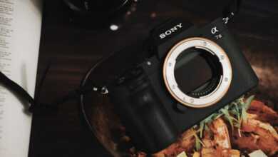 sony A7III review 016 770x513