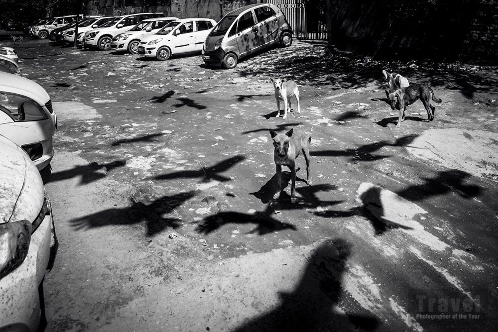 (TPOTY) Yılın Seyahat Fotoğrafçısı 2018 96 95 Travel 2018 HC2 MStrakova