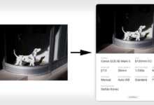 ExifShot: Meta Verilerinizi Paylaşın 24 exifshotfeatt 800x420