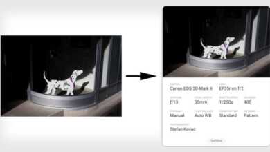 ExifShot: Meta Verilerinizi Paylaşın 2 exifshotfeatt 800x420