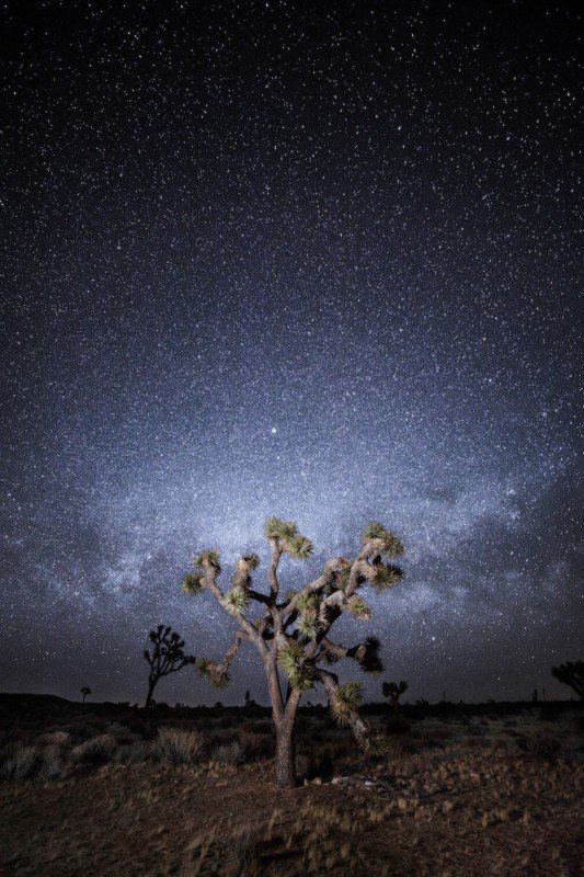 Astrofotoğrafçılık: Yıldızlar Nasıl Fotoğraflanır 2 johsua tree national park 36c2676f 0698 473c aa6c 11e63486315d