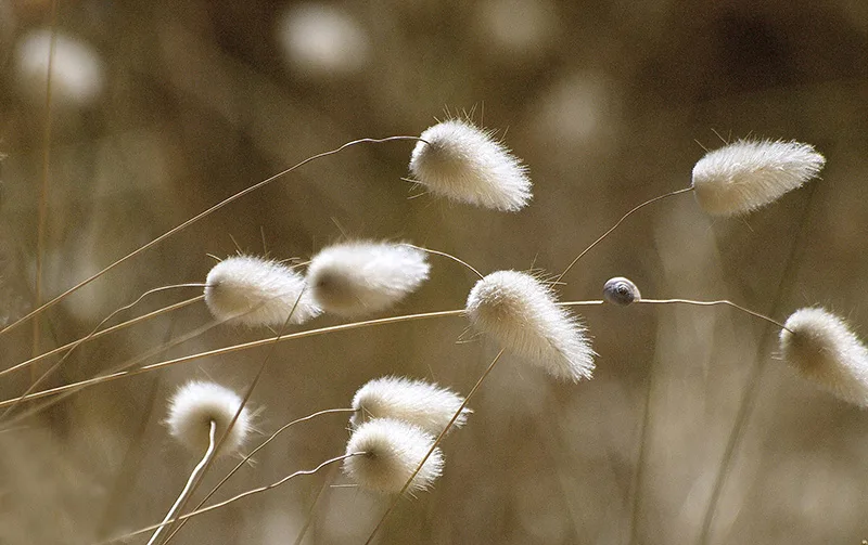 Karanlık/Aydınlık Fotoğraf Yarışması 1 lightanddarkcover jpg