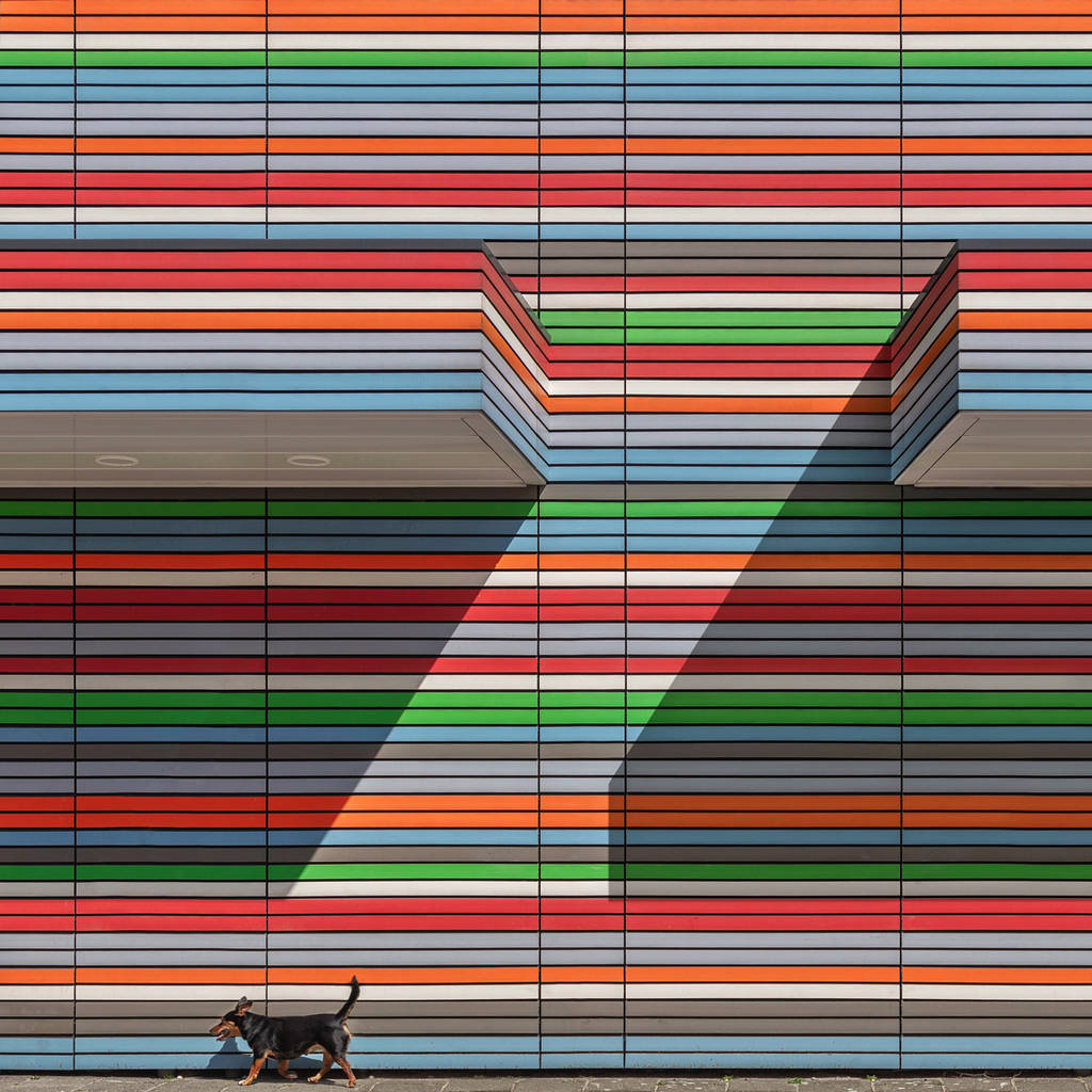 Chromatic Awards 2018 4 15408217303ia4jpaul brouns walking the line 1200px