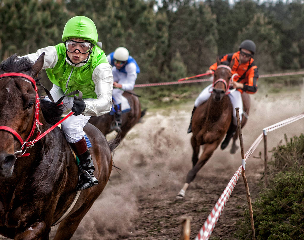 Chromatic Awards 2018 51 1541184723jp25fwinning horse