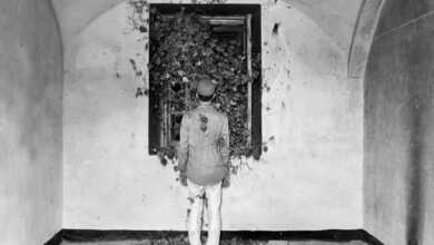 2 21504 18 LICC Unnatural giorgio musinu