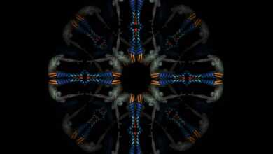 “Yaşam Çiçeği” Sergisi 2 2b07a62360ca74290c8baeb164afe00b